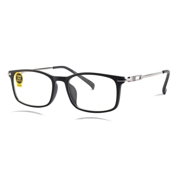 HANSHA AE91 - Spectacles Frame
