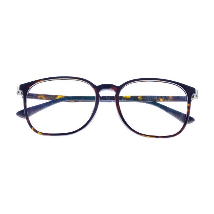 LOUIS STYLE L-1032 AG75 - Spectacles Frame