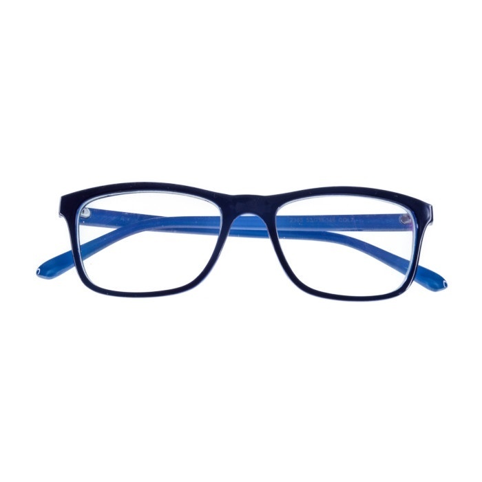 TAICHI EXTREME 2365 AK70 - Spectacles Frame